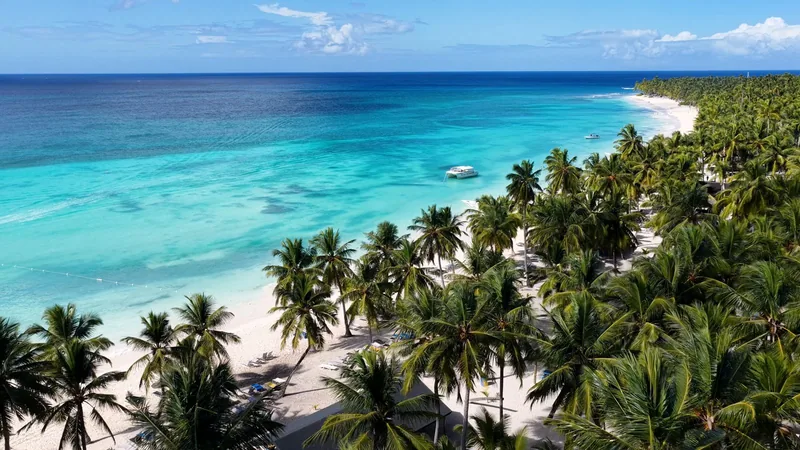 Aerial view of a palm-lined beach near Punta Cana